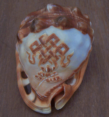 Cassis Rufa Carving Ornament Style