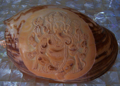 Melo Shell Carving Style