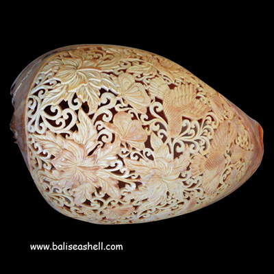 Melo Shell Carving Humming Bird