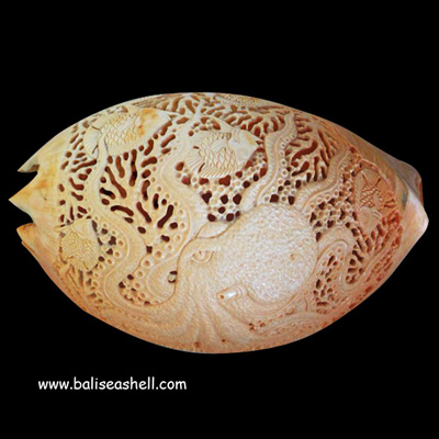 Melo Shell Carving Octopus & Fish