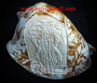 Cymbiola Carving Wishnu Ornament Style
