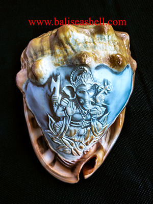 Cassis Rufa Carving Ganesha God Ornament style