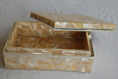 Tectus pyramis Shell Mosaic Box