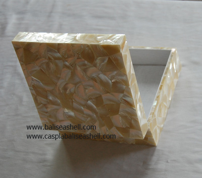 Tectus Pyramis Shell Box