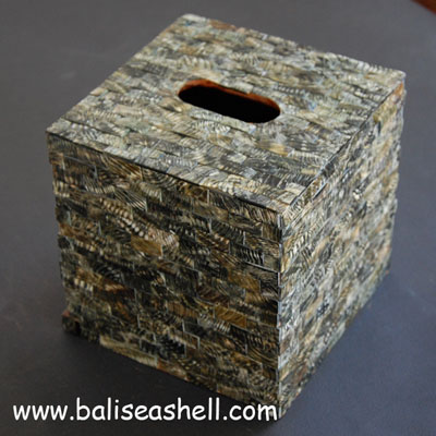 Box Tissue Crafts