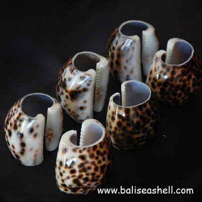 Tissue Box Holder "Cyprae Tigris Cut"