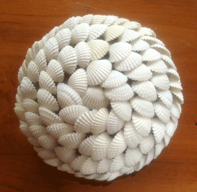White Small Clam Shell Ball