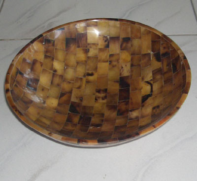 Mop Shell Brown Bowl Astry