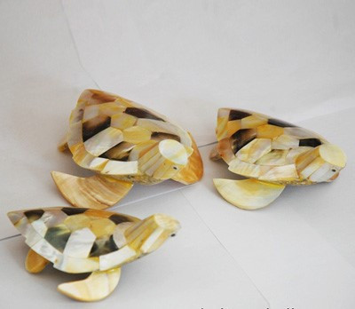Seashell Crafts Art Fish Turtle