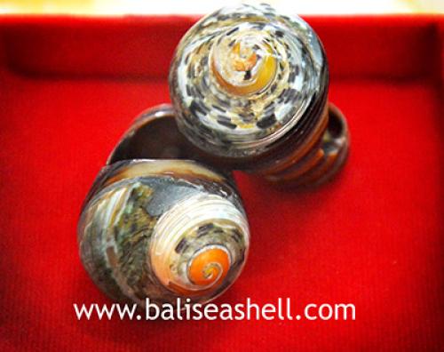 Shell Button Crafts
