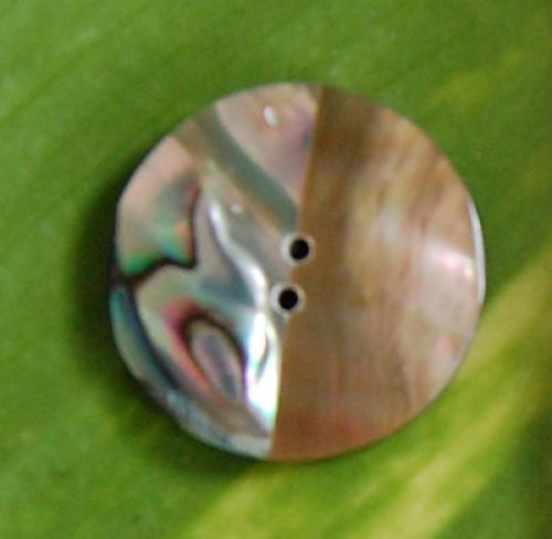 Paua Earring With Silver