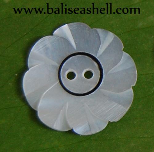 Melo Amphora Shell Carving