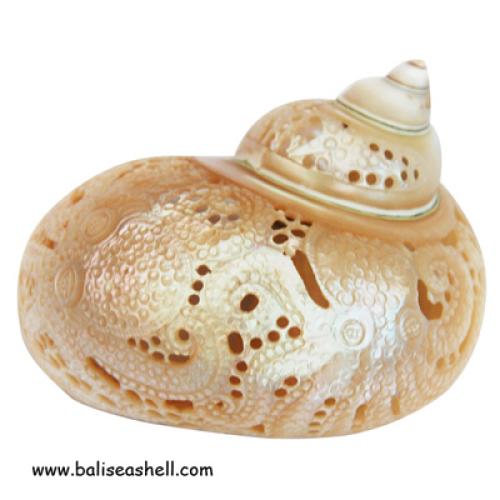 Mop Shell Silver Earring