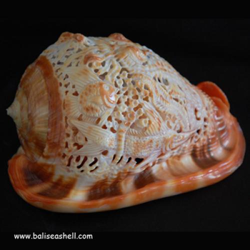 White Mop Shell Furniture Sofa Art 