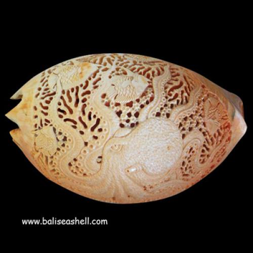 White Mop Shell Silver Earring