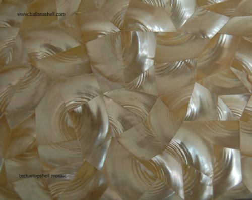 Melo Shell Carving Fish & Turtle