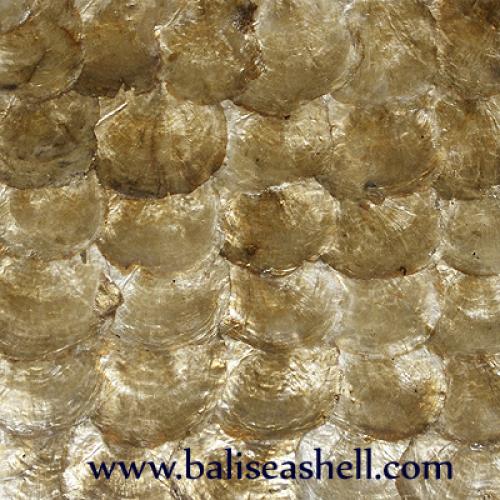 Seashell Carving with Silver Art