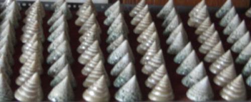 Mop Shell Silver Earring