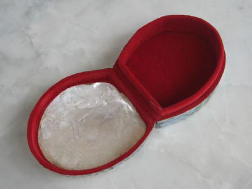 Snail Shell  From Indonesia