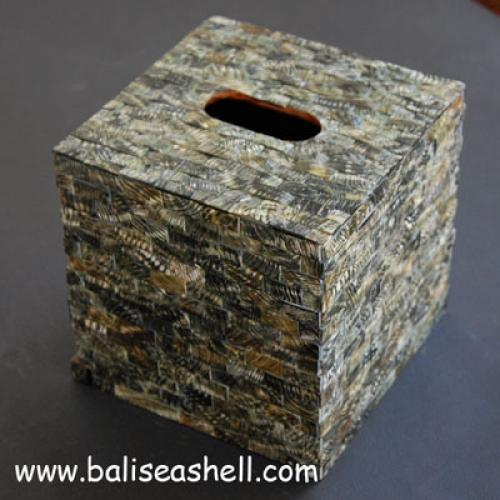 Mop Shell Brown Bowl Astry