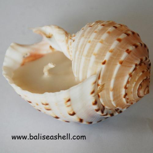 Yellow MOP Shell & Black MOP Small Box