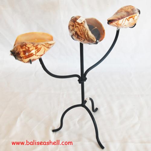 Earring Mabe with Paua Shell