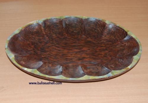 Curtain Tieback Trochus Shell
