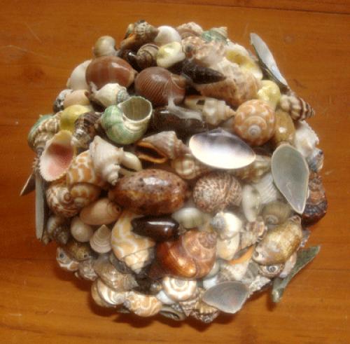 Srinq Aruanus with Silver Art