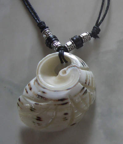 Big Melo Shell Carving Life Hummingbird Style