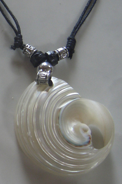 White Mop Shell Silver Earring