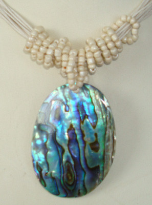 Paua Earring With Silver